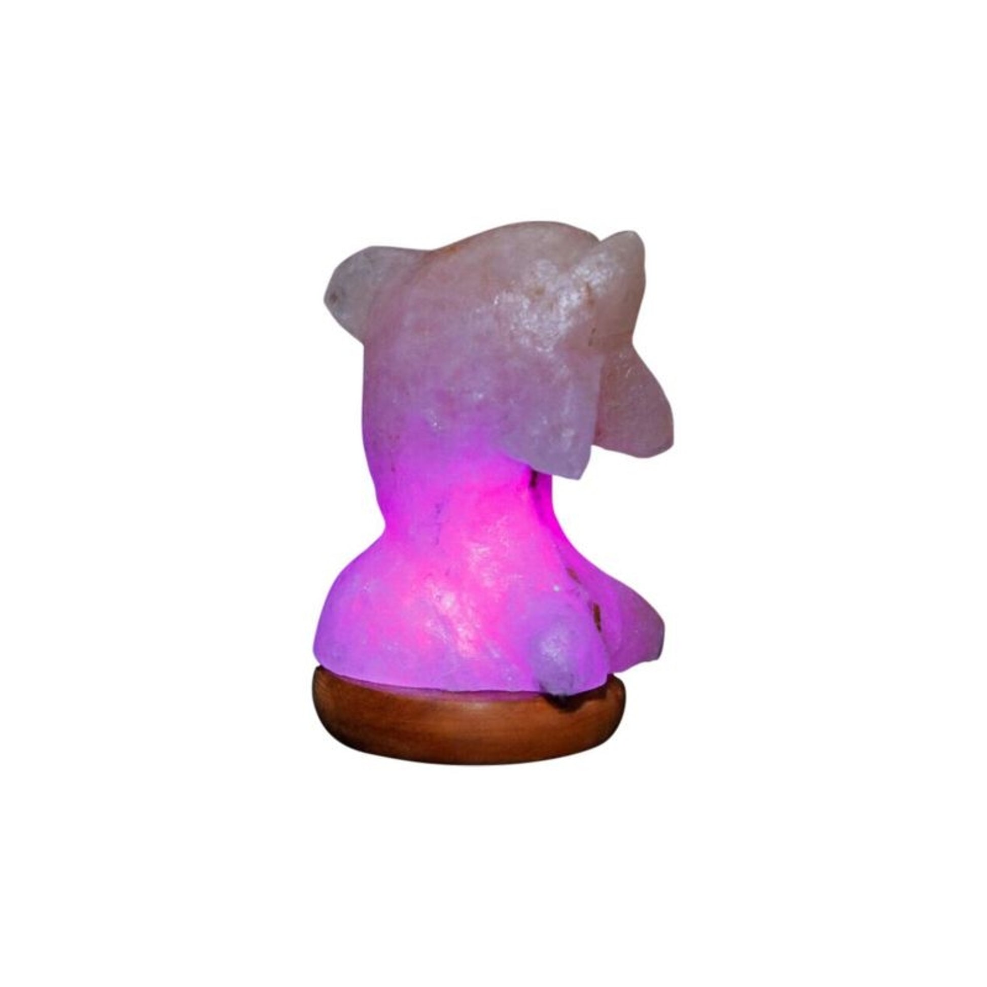 Himalayan Rock Salt Mini Dolphin Lamp 2lbs Bk/Wh