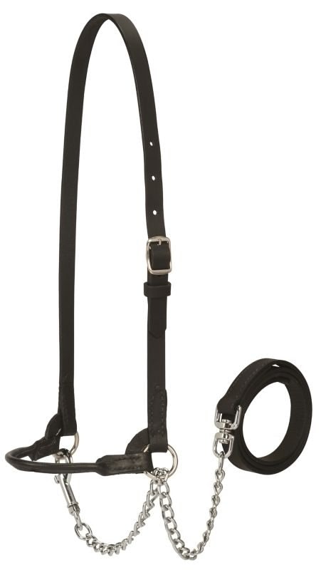 Weaver Dairy Halter