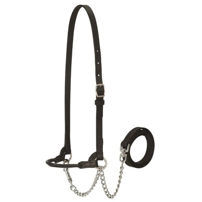 Weaver Dairy Halter