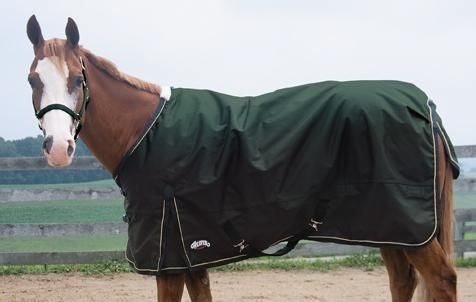 600D Ripstop Waterproof T/O Blanket