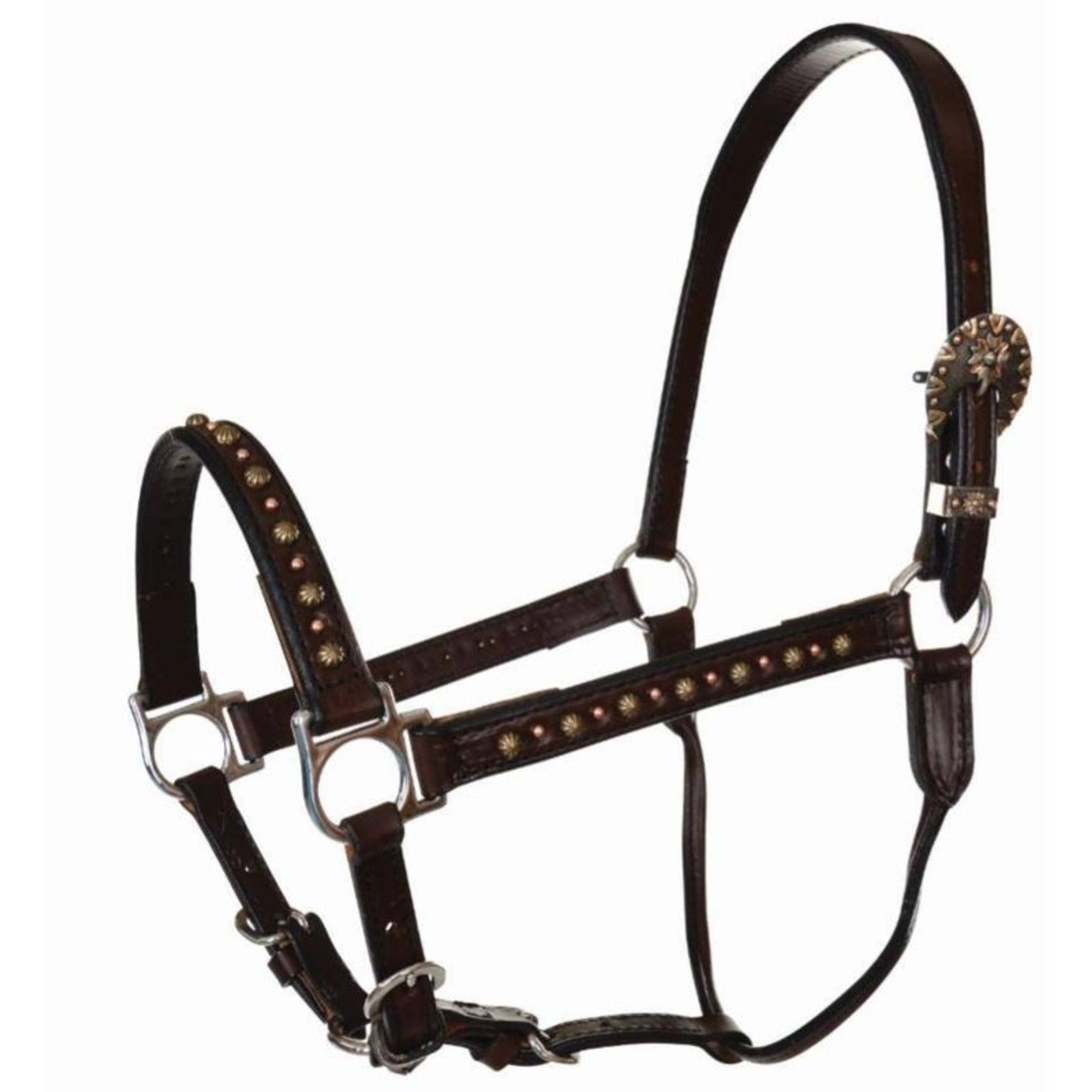 Circle Y Antique Spots Halter Horse Chocolate