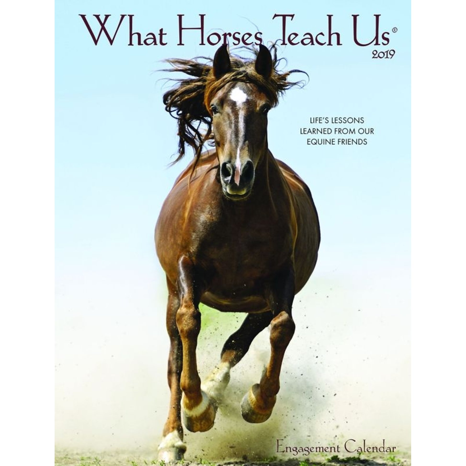 Kelley What Hrss Teach Us Planner 2019