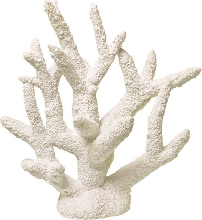 Exotic Environments Staghorn Coral Medium White
