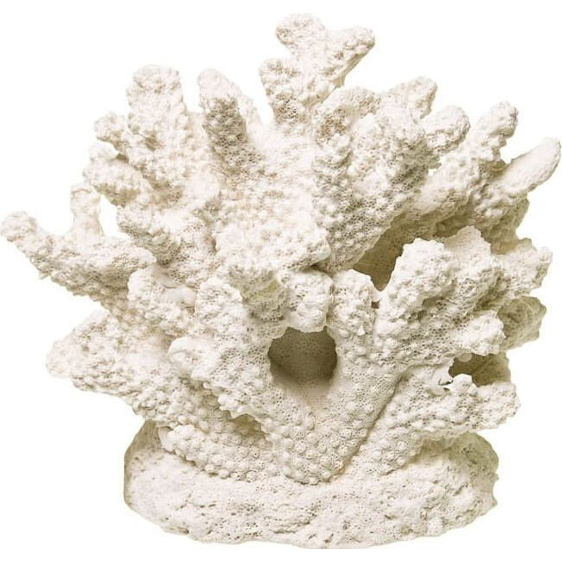 Branch Coral Centerpiece Small White