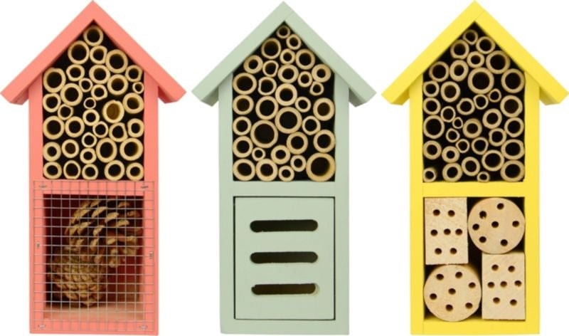 NatureS Way Dual Chamber Insect House 9X5X3.5