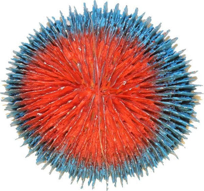 TH1526948.jpg