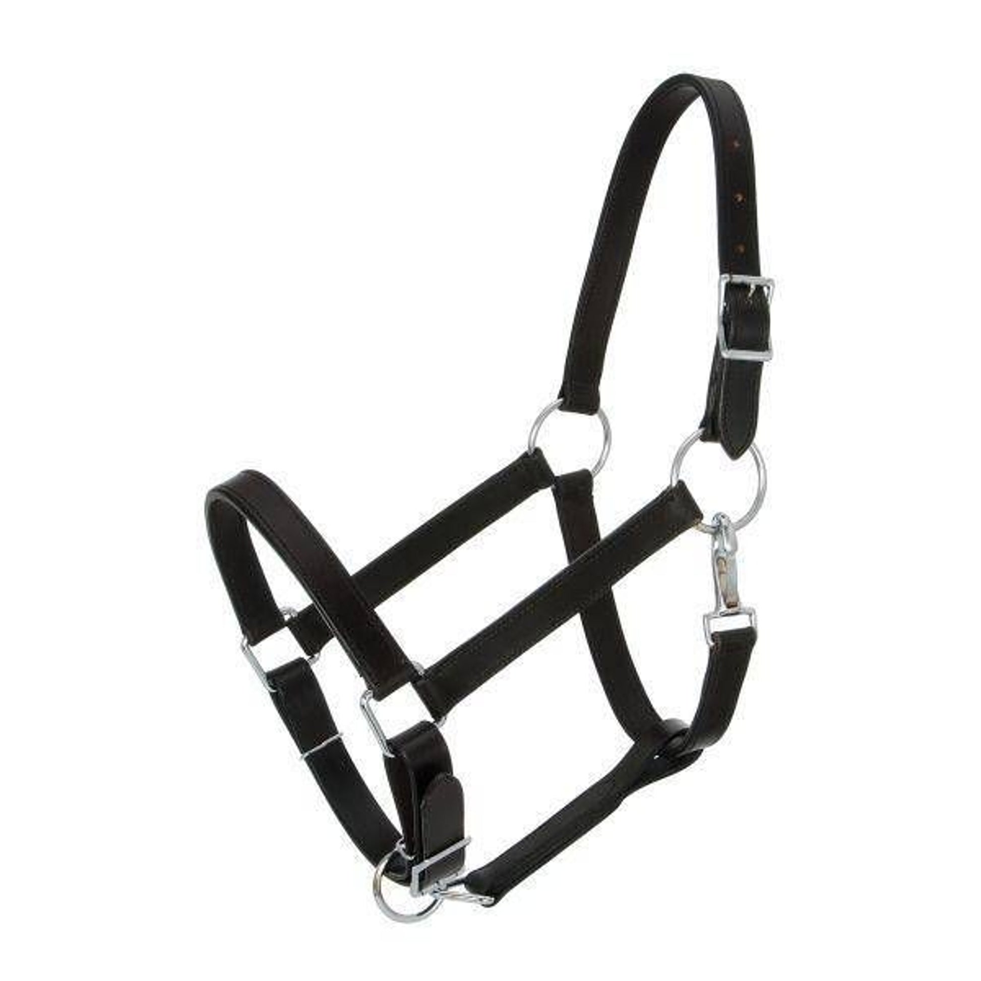 Royal King Draft Horse Stable Halter Draft Black