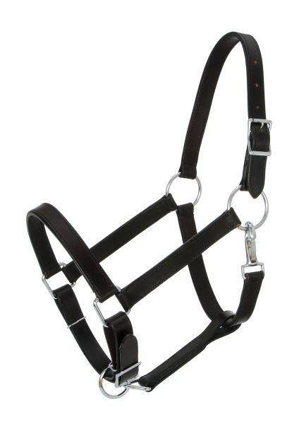 Royal King Draft Horse Stable Halter Draft Black