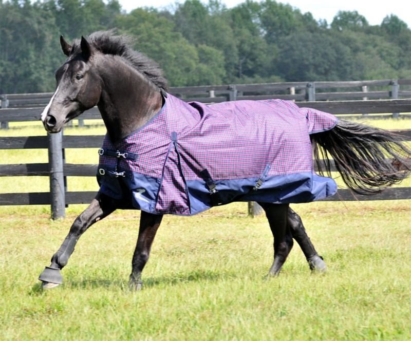 Horze Nevada Waterproof Turnout Sheet 66 Navy/Pink