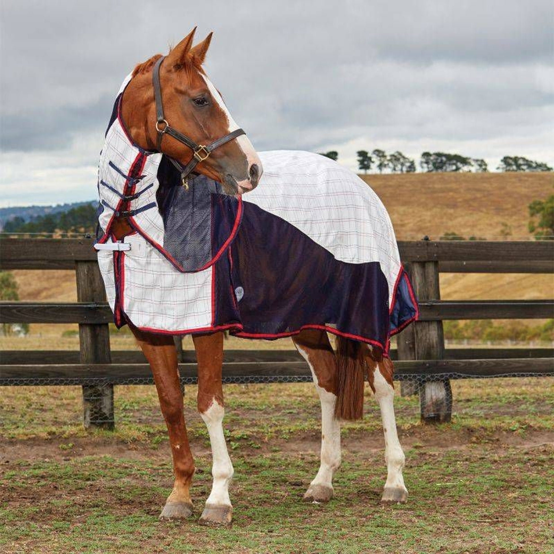 Weatherbeeta Breeze Surcingle Iii 66 Wht/Nvy/Red