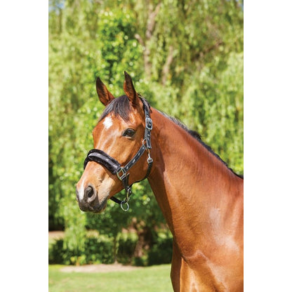 Saxon Fleece Lined Ribbon Headcollar