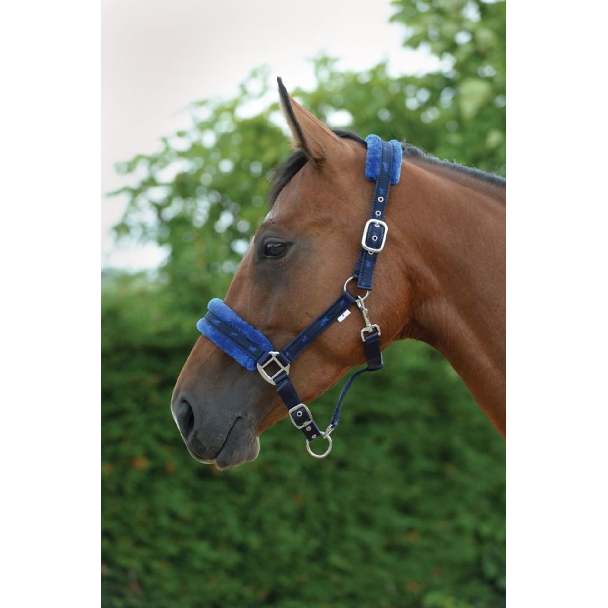 Saxon Fleece Lined Ribbon Headcollar
