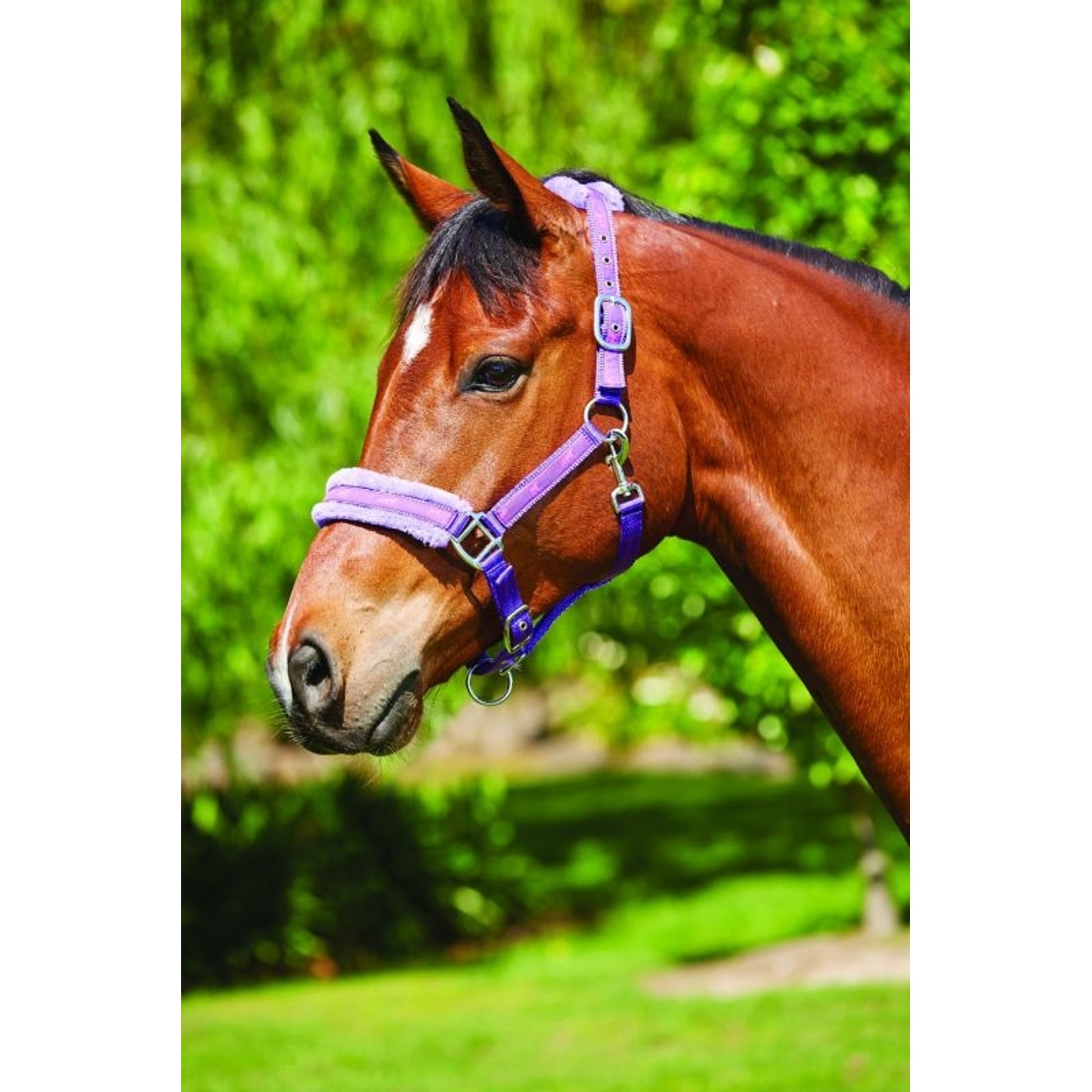 Saxon Fleece Lined Ribbon Headcollar