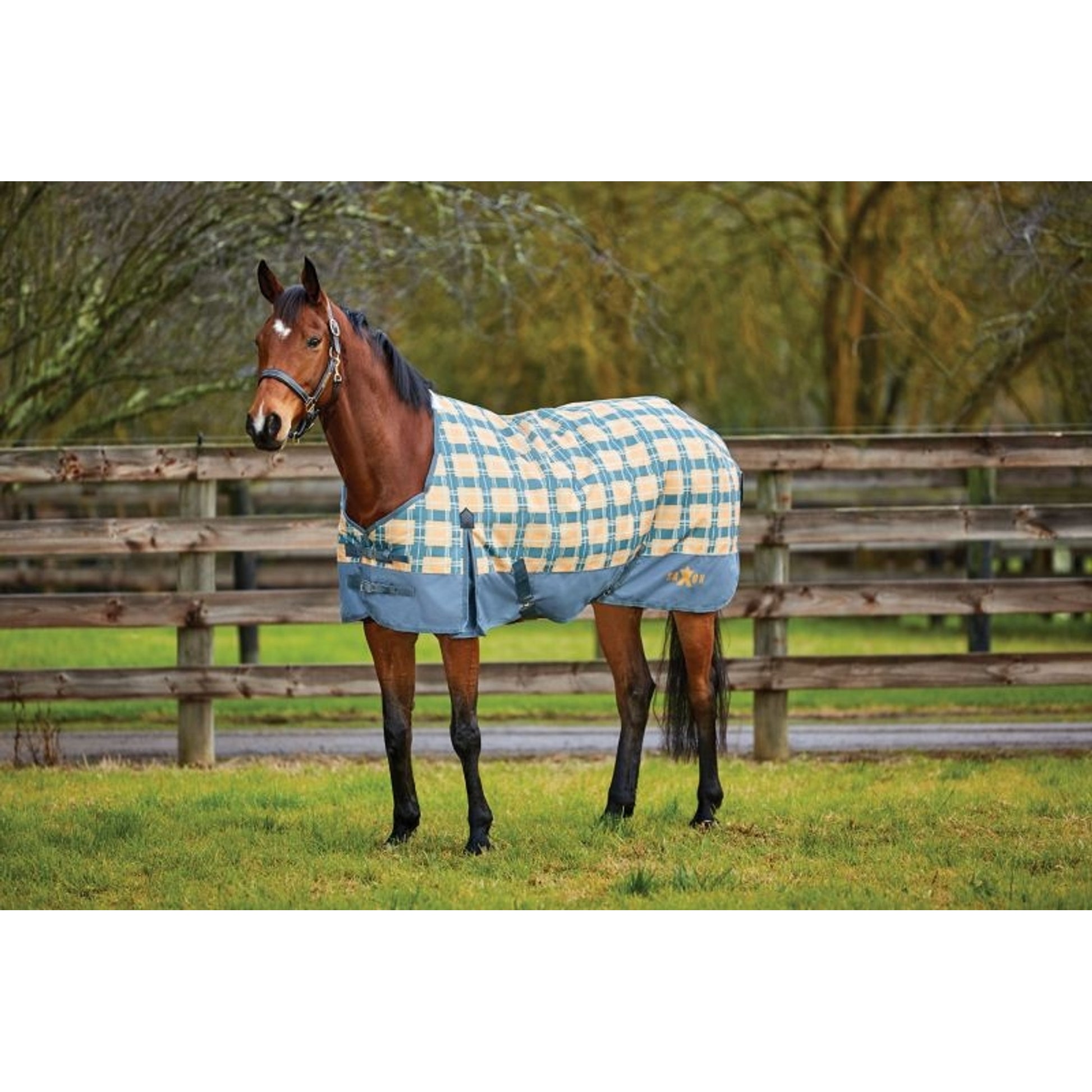 Saxon 1200D Standard Med Blanket