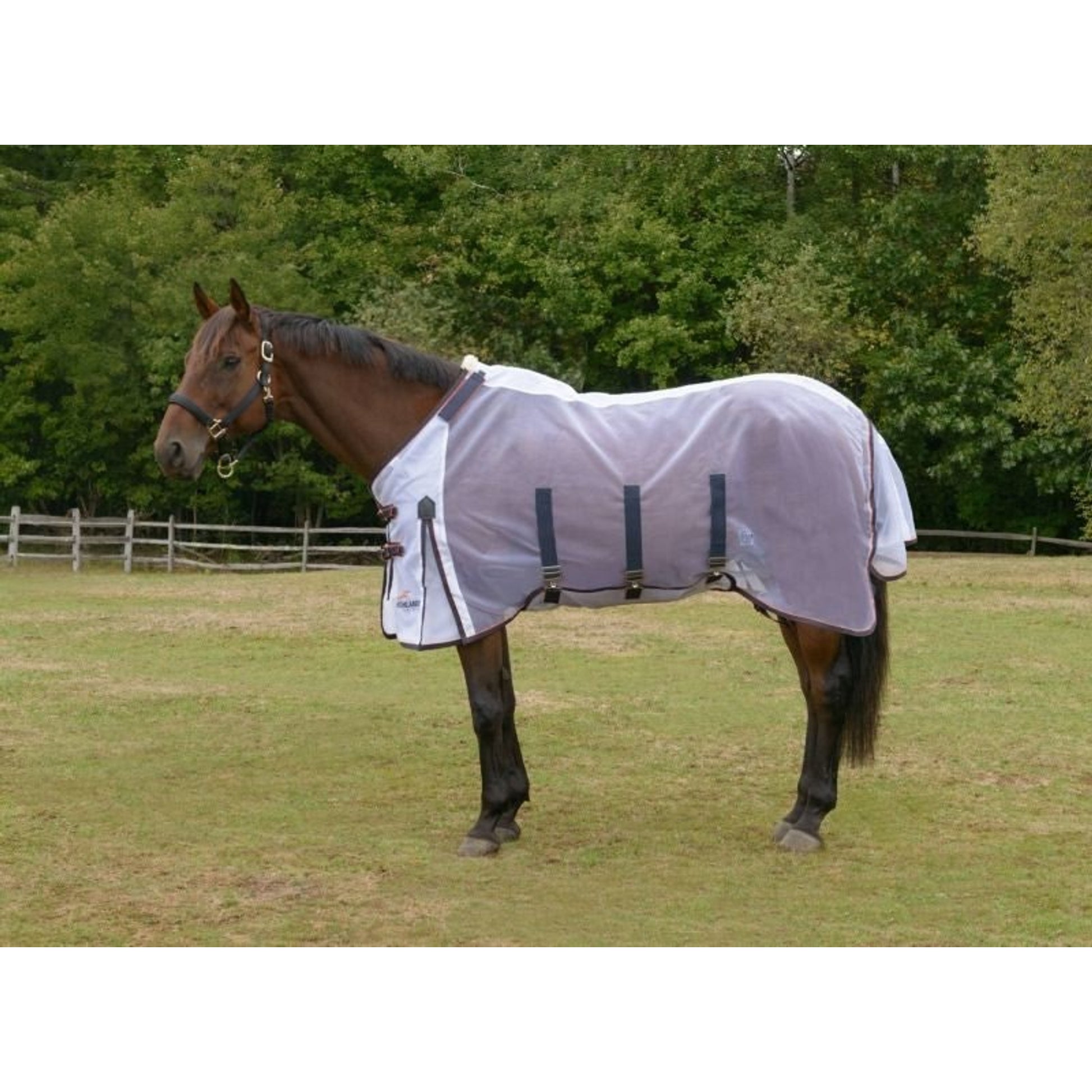 Shires Highlander Fine Mesh Fly Sheet/Neck Set 66