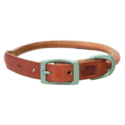 Weaver Terrain Dog Rolled Collar