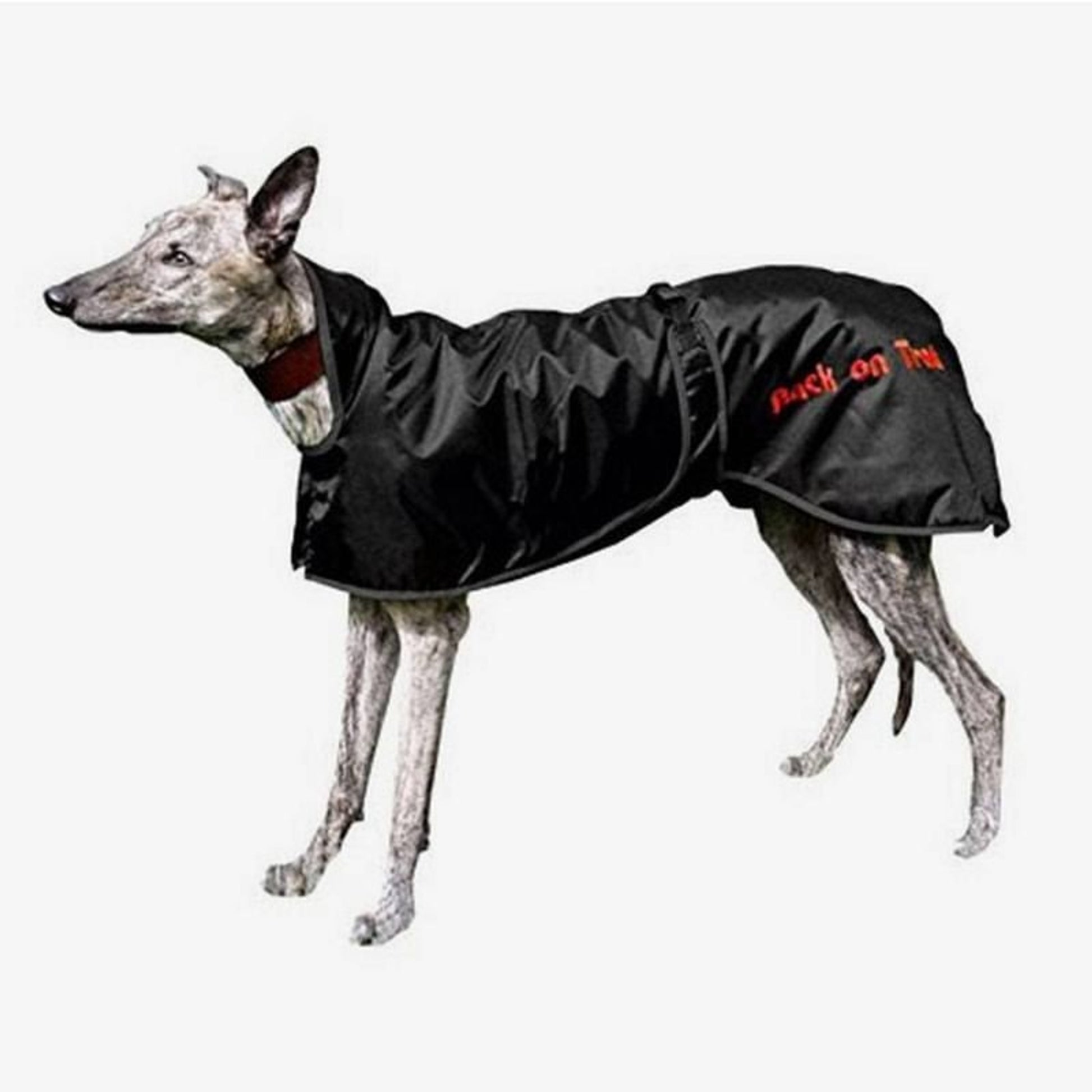 Back On Track Dog Rug 21-33 25 BL