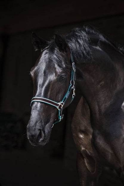 Amigo Headcollar Cob Navy/Silver