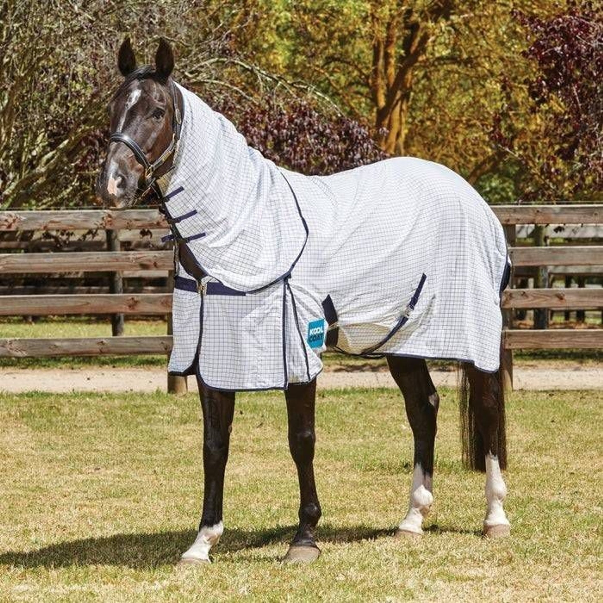 Kool Coat Classic With Surcingles Standard Neck
