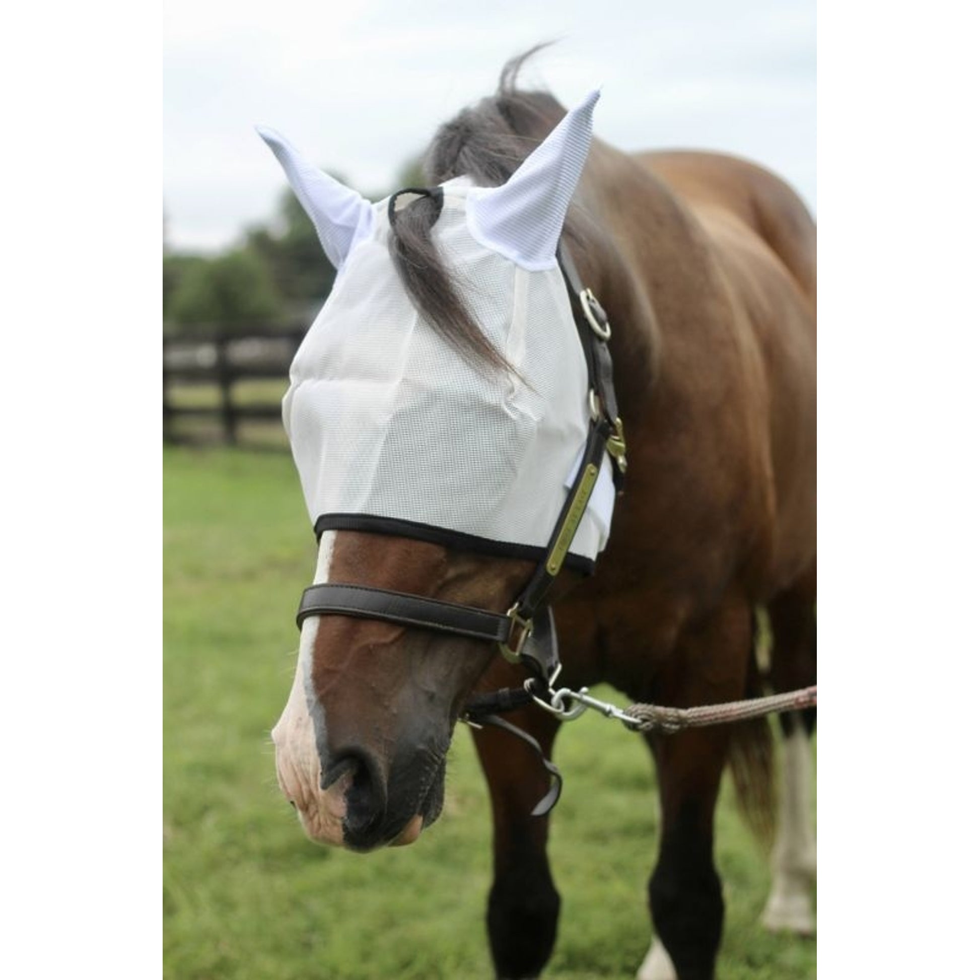 TuffRider Fly Mask with Ears