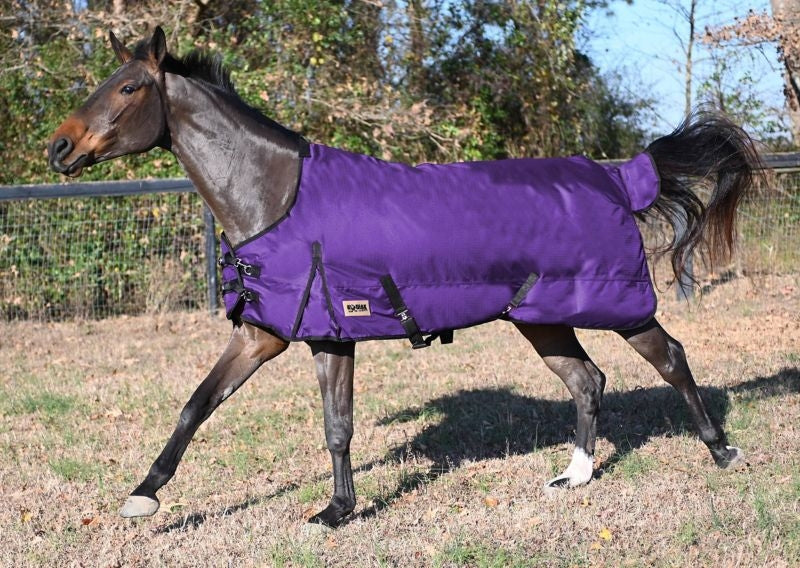 Kodiak 1200D Ripstop Waterproof Heavyweight Blanke