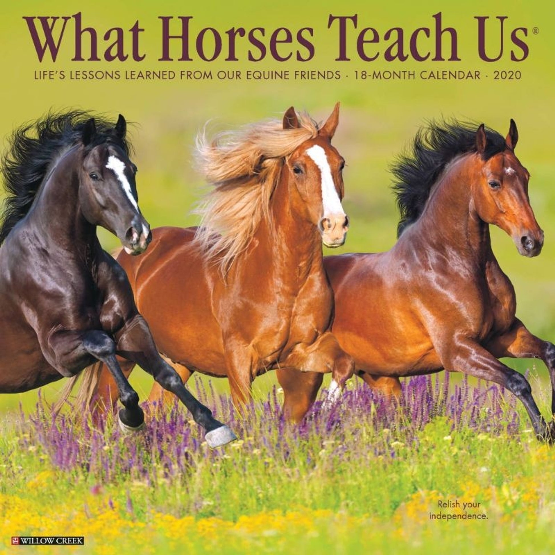 Kelley What Horses Teach Us 2020 Calendar Large 12