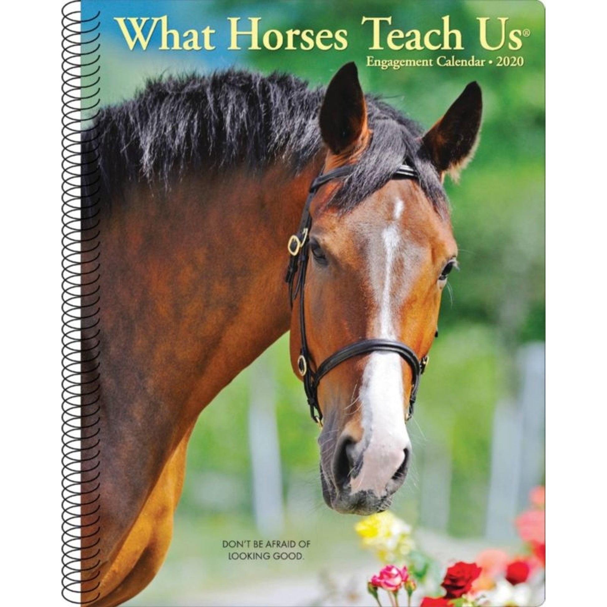 Kelley What Horses Teach Us 2020 Engagement Calend