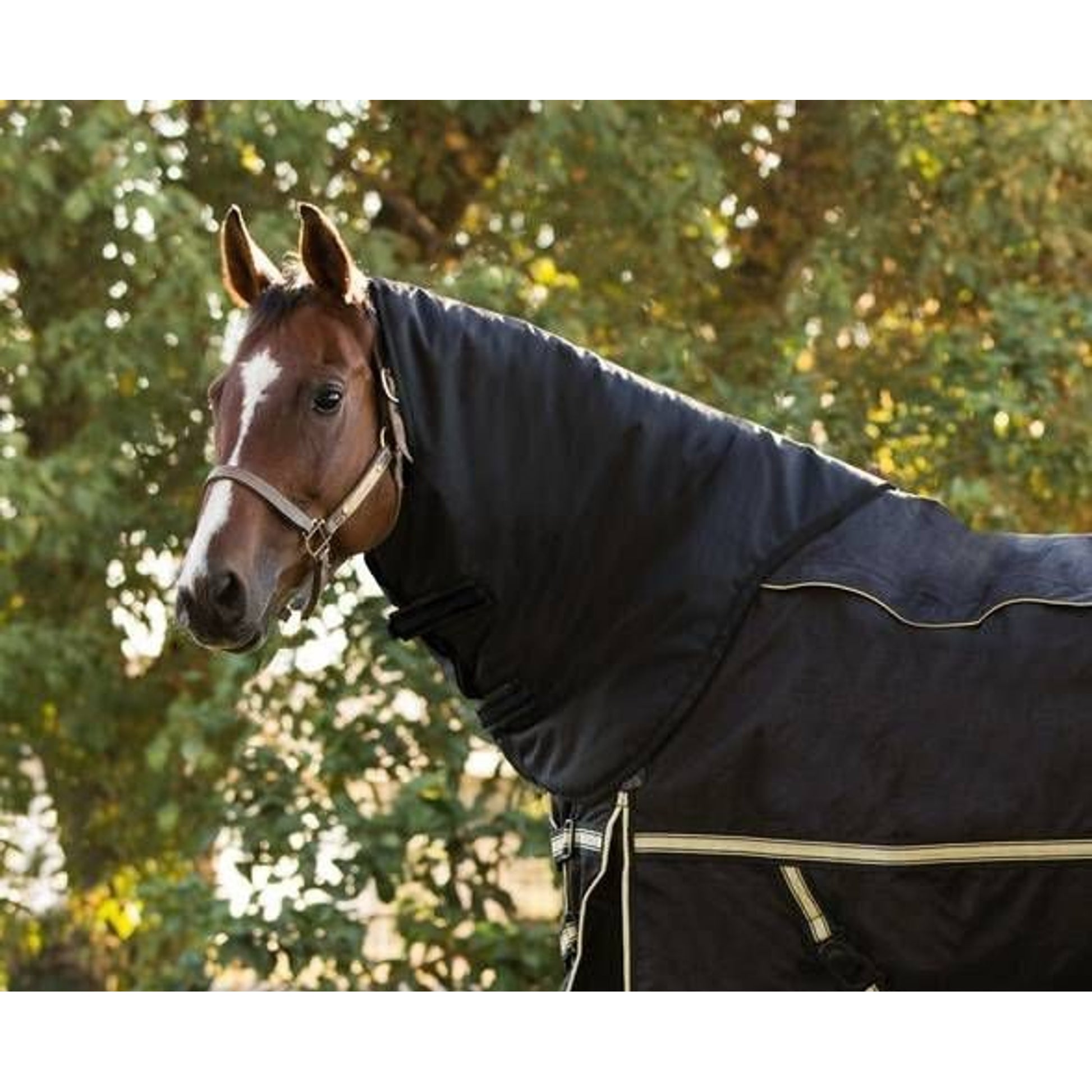 FREE $50 Neck Cover With Purchase of Noble Equestr