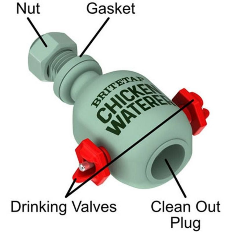 Durvet Britetap Chicken Waterer