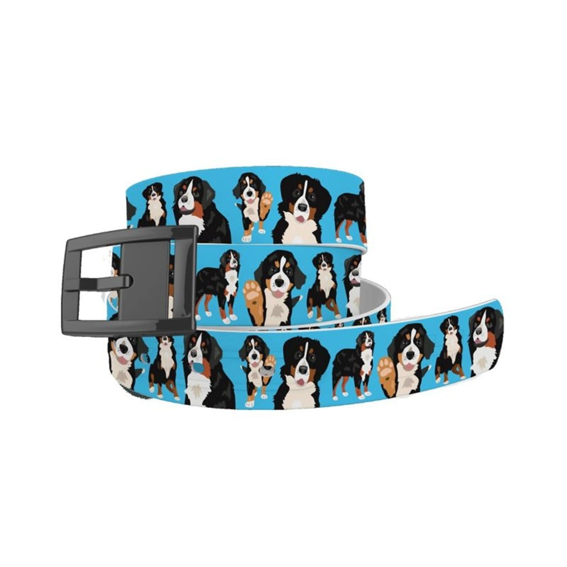 C4 Belt Bernese Mountain Dog Belt with Black Chrom