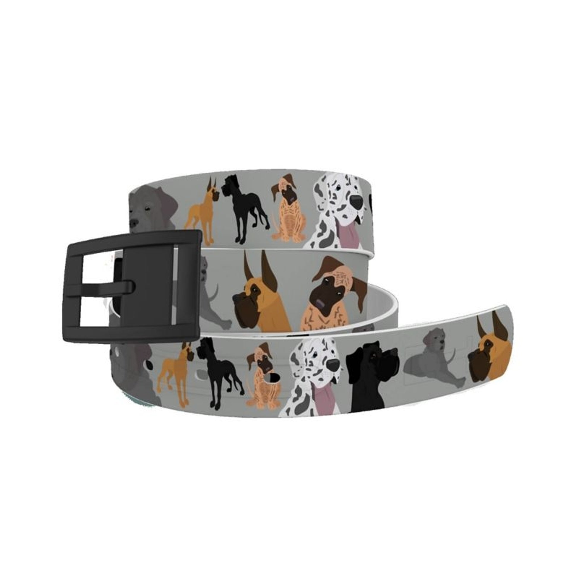 C4 Belt Great Dane Belt with Black Buckle Combo On
