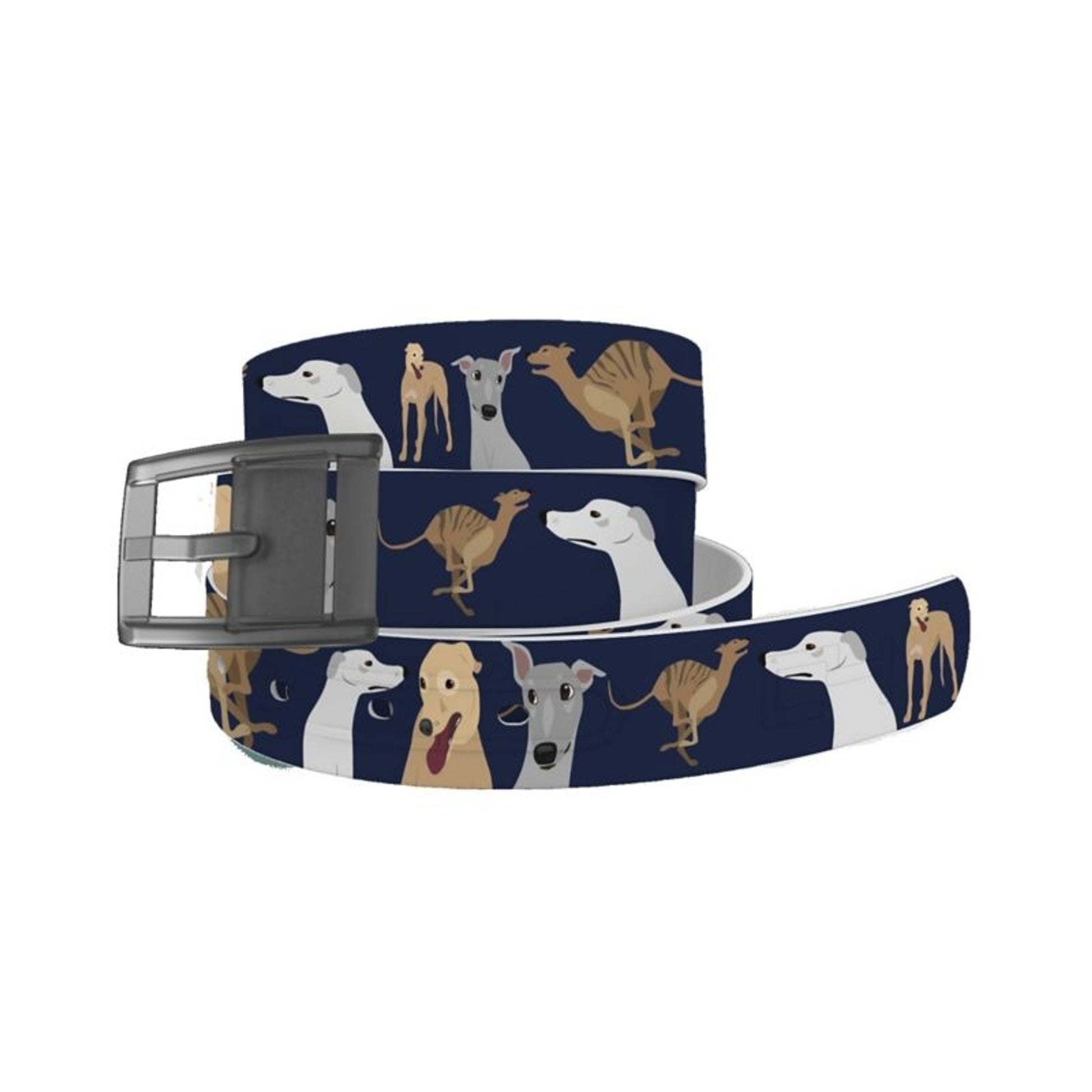 C4 Belt Greyhound Belt with Grey Buckle Combo One