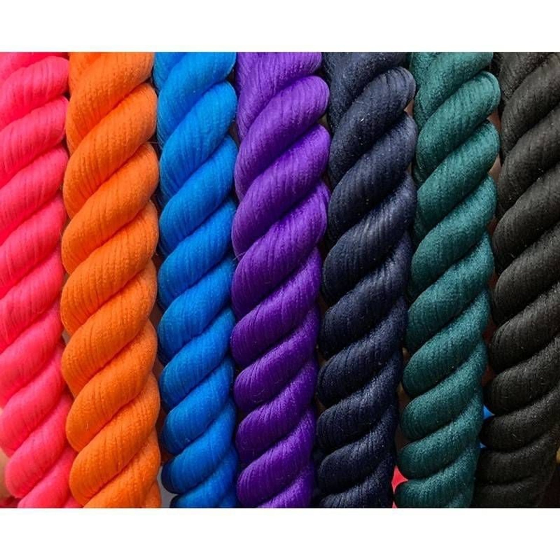 Shires Digby Fox Rope Dog Lead