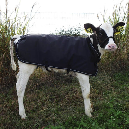 Weatherbeeta Calf Coat Small Black