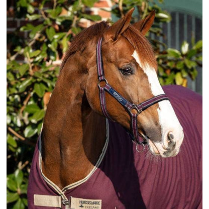 Amigo Headcollar Cob Navy/Silver