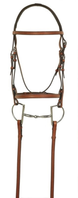 Aramas Plain Raised Bridle with Lace Reins Cob Cho