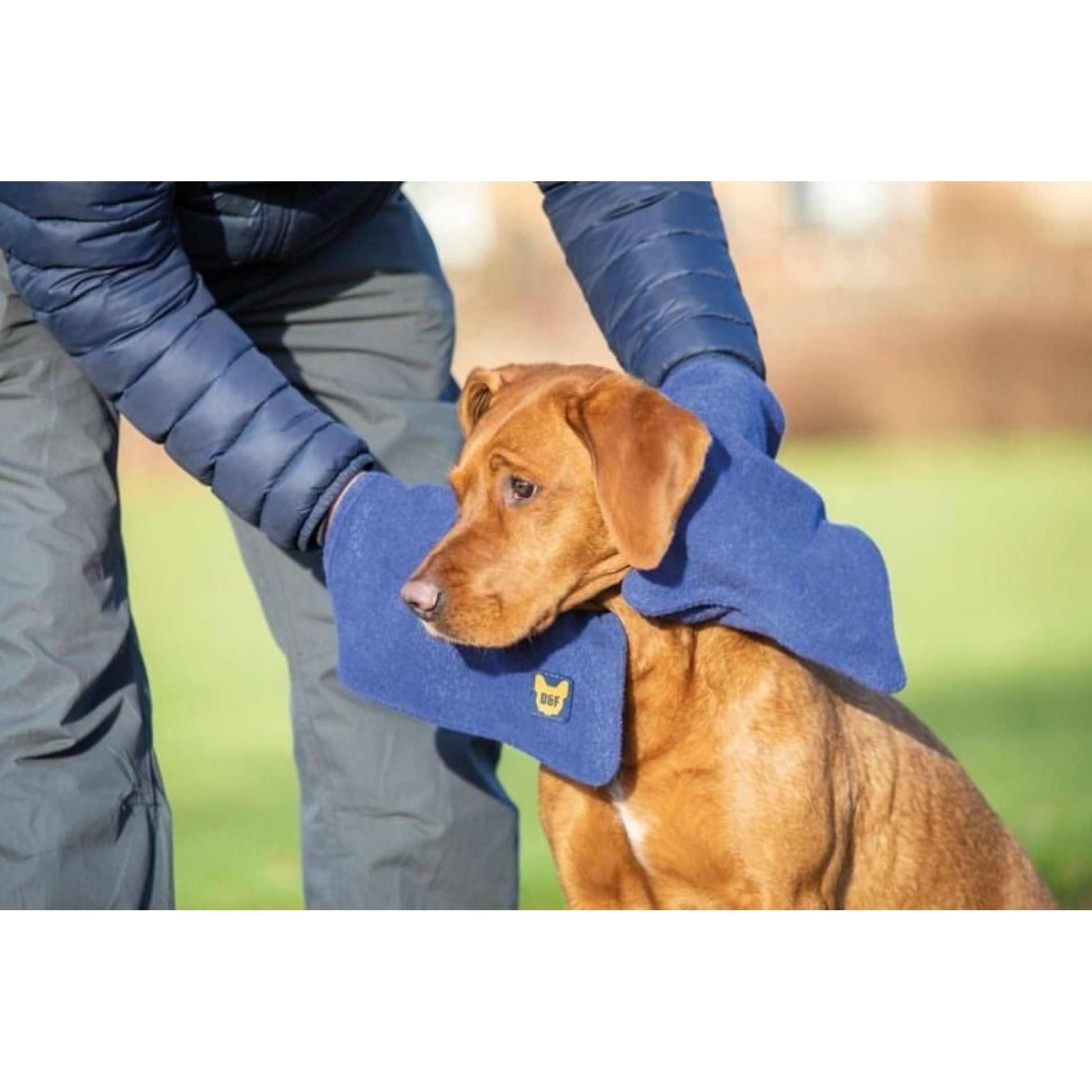 Shires Digby & Fox Dog Towel Glove 100cm x 26cm Na