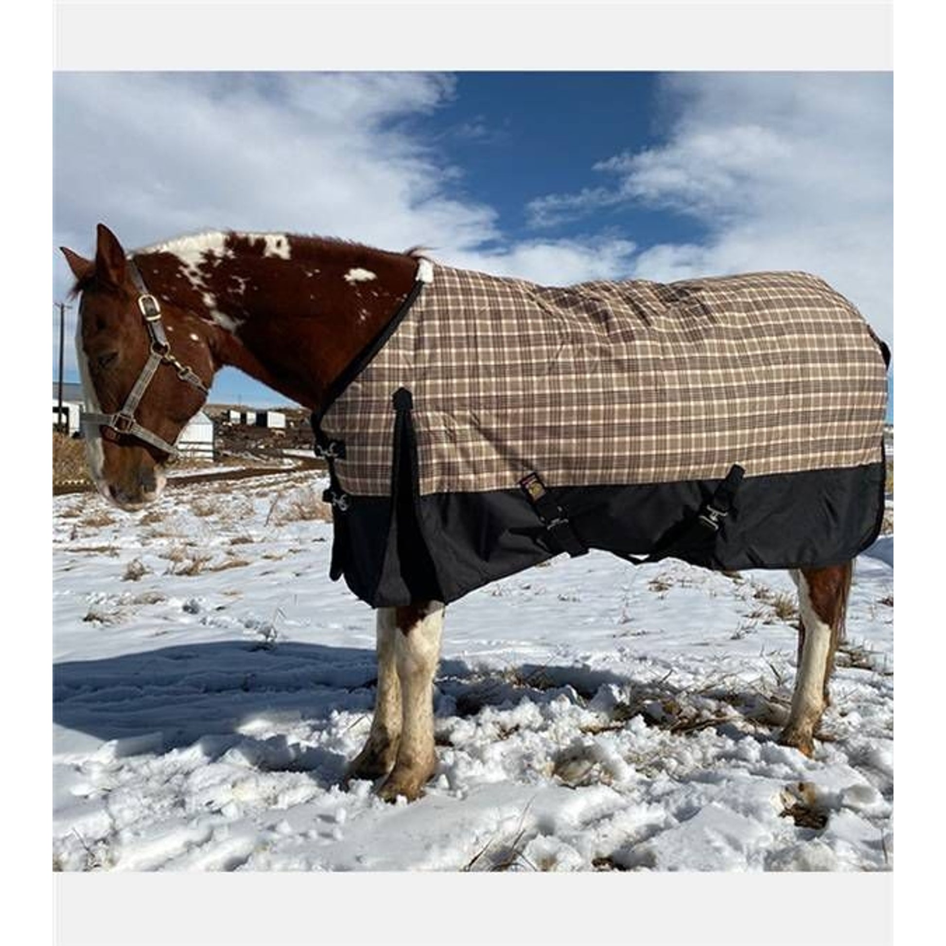 Baker Black Label Heavy Weight Turnout Blanket 400