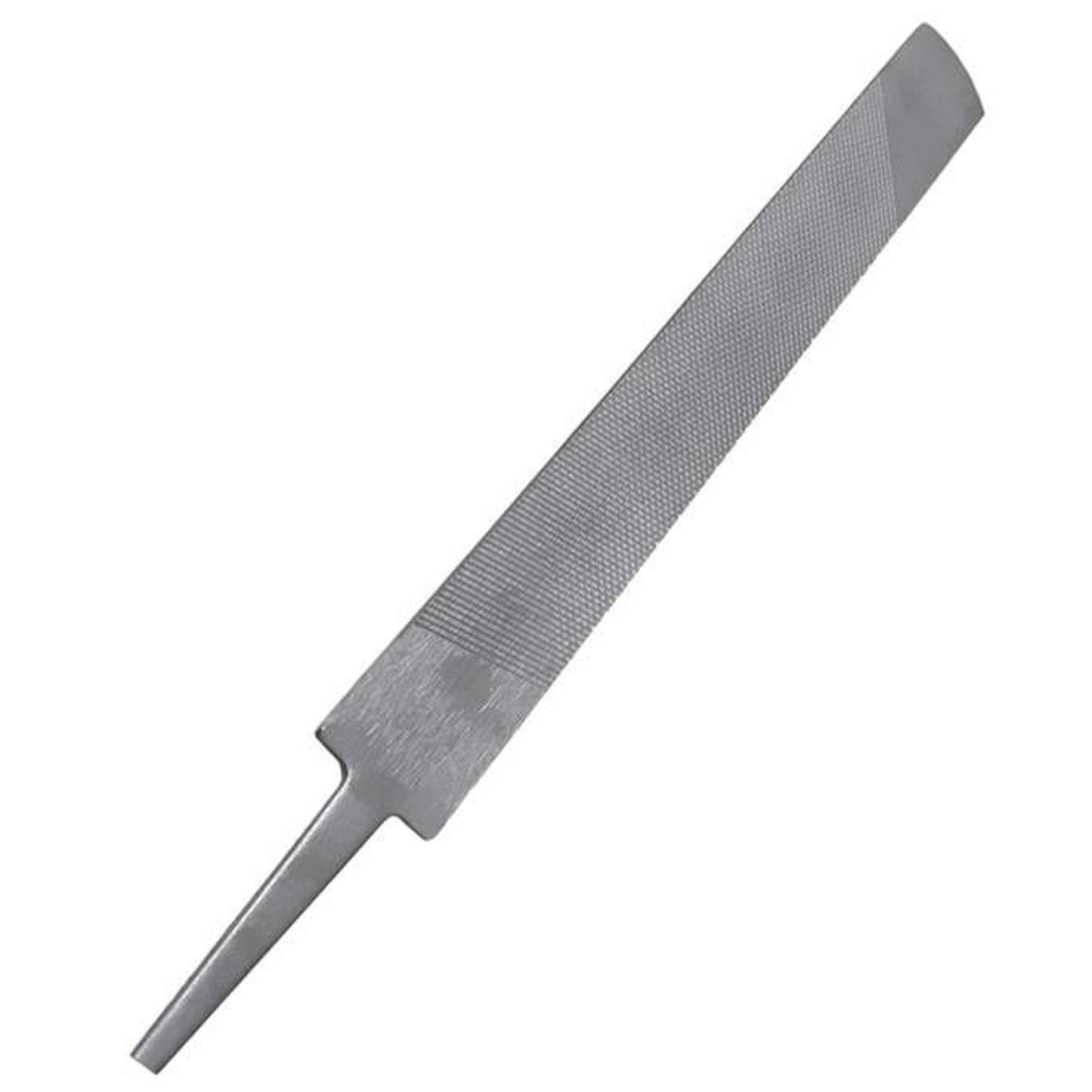 TH1656315_P.jpg