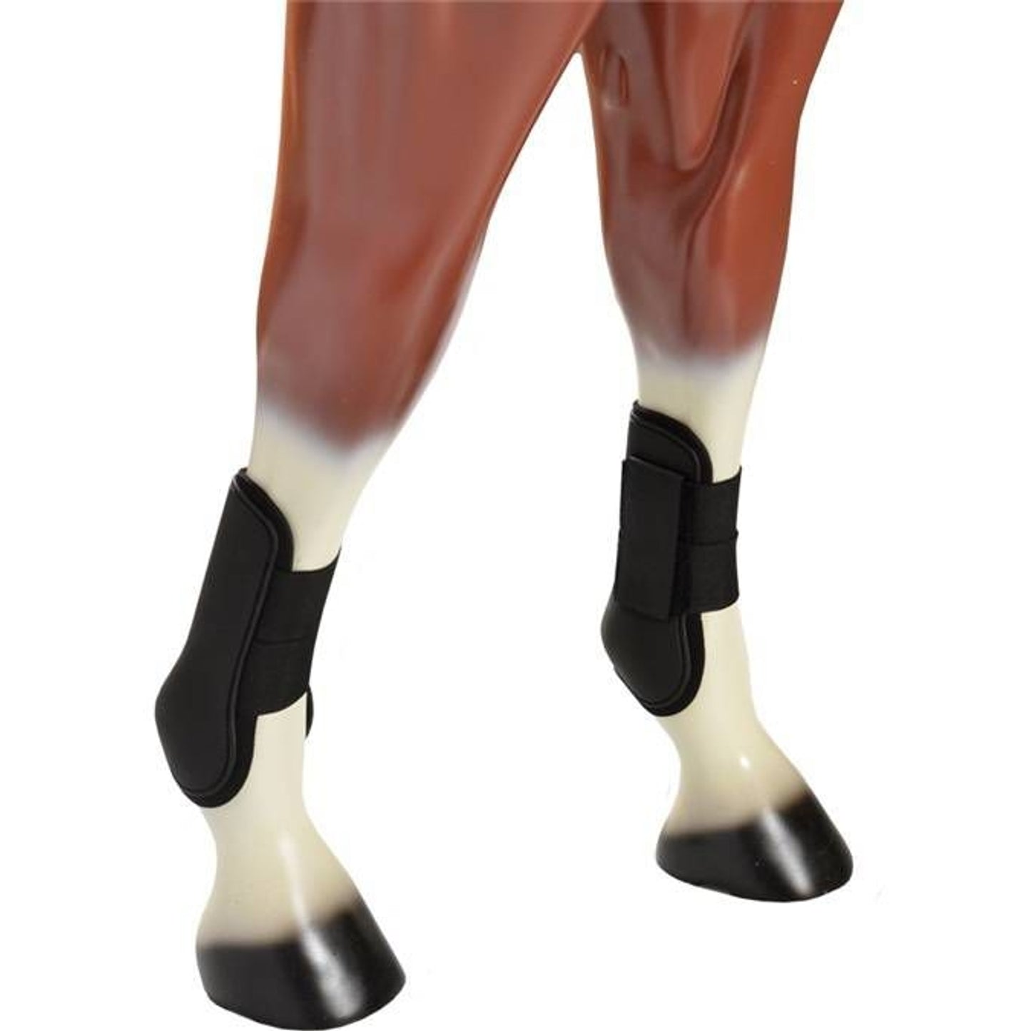 TH1656470_438471.jpg
