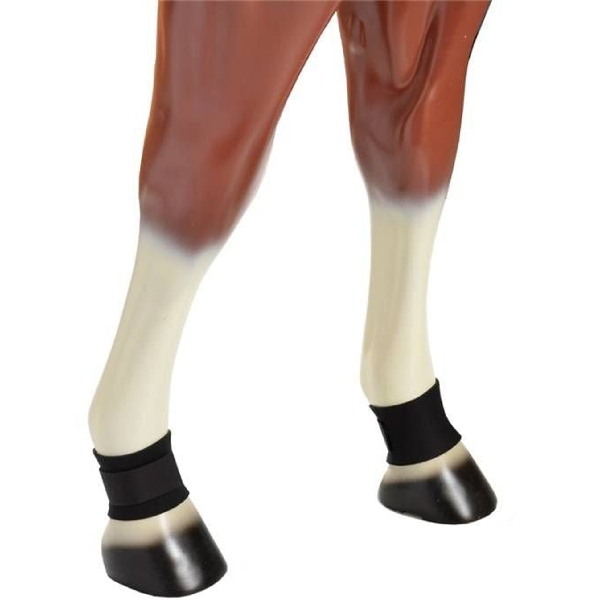 Jacks Neoprene Pastern Wraps Sold in Pairs Black