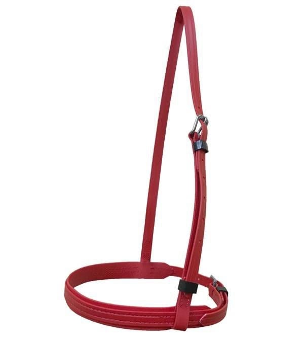 Jacks Thoroughbred Beta Caveson Purple