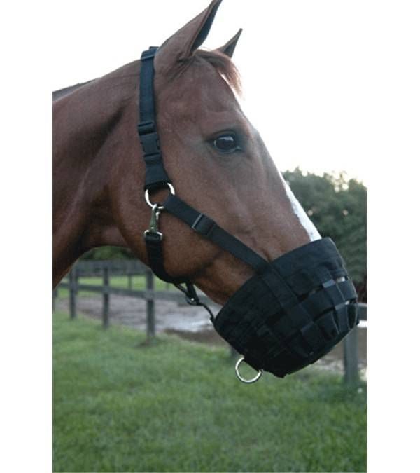 Jacks Web Muzzle Cob Black