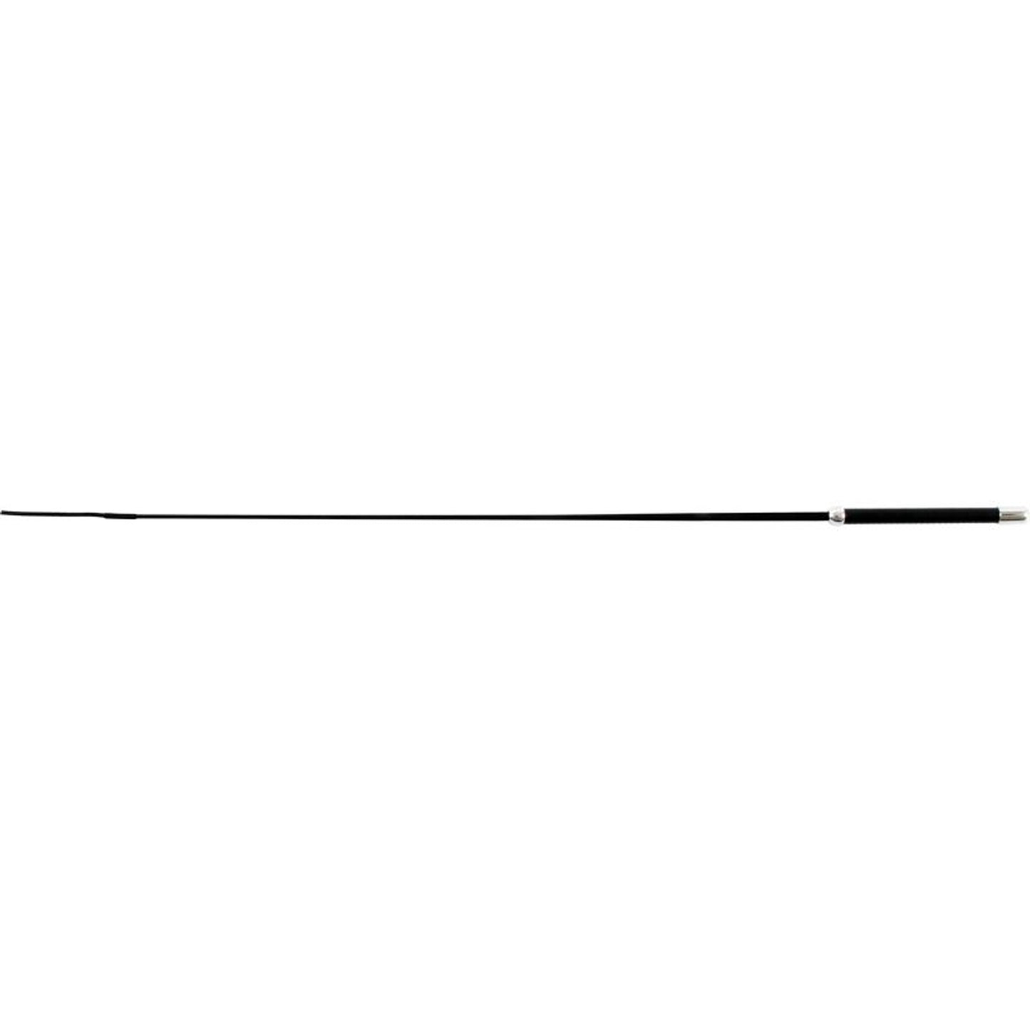 TH1661858_11256.jpg