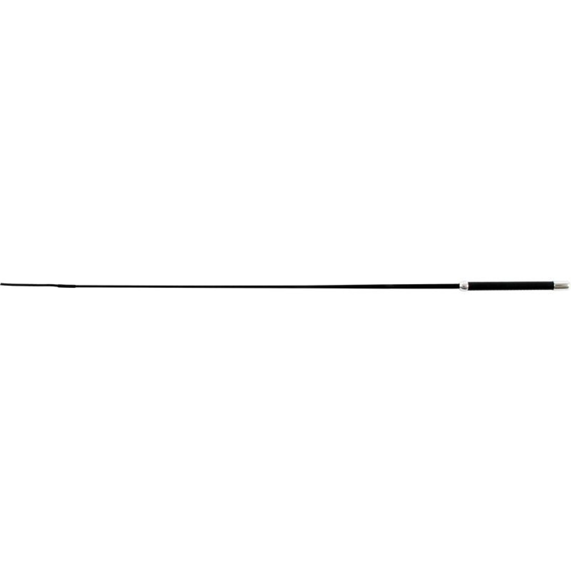 TH1661858_11256.jpg