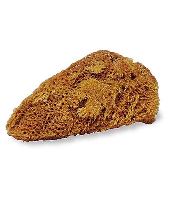 Jacks Natural Tack Small Sponge 5" X 4"