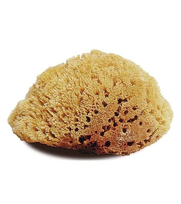 Jacks Natural Large Body Sponge 6" x 5"