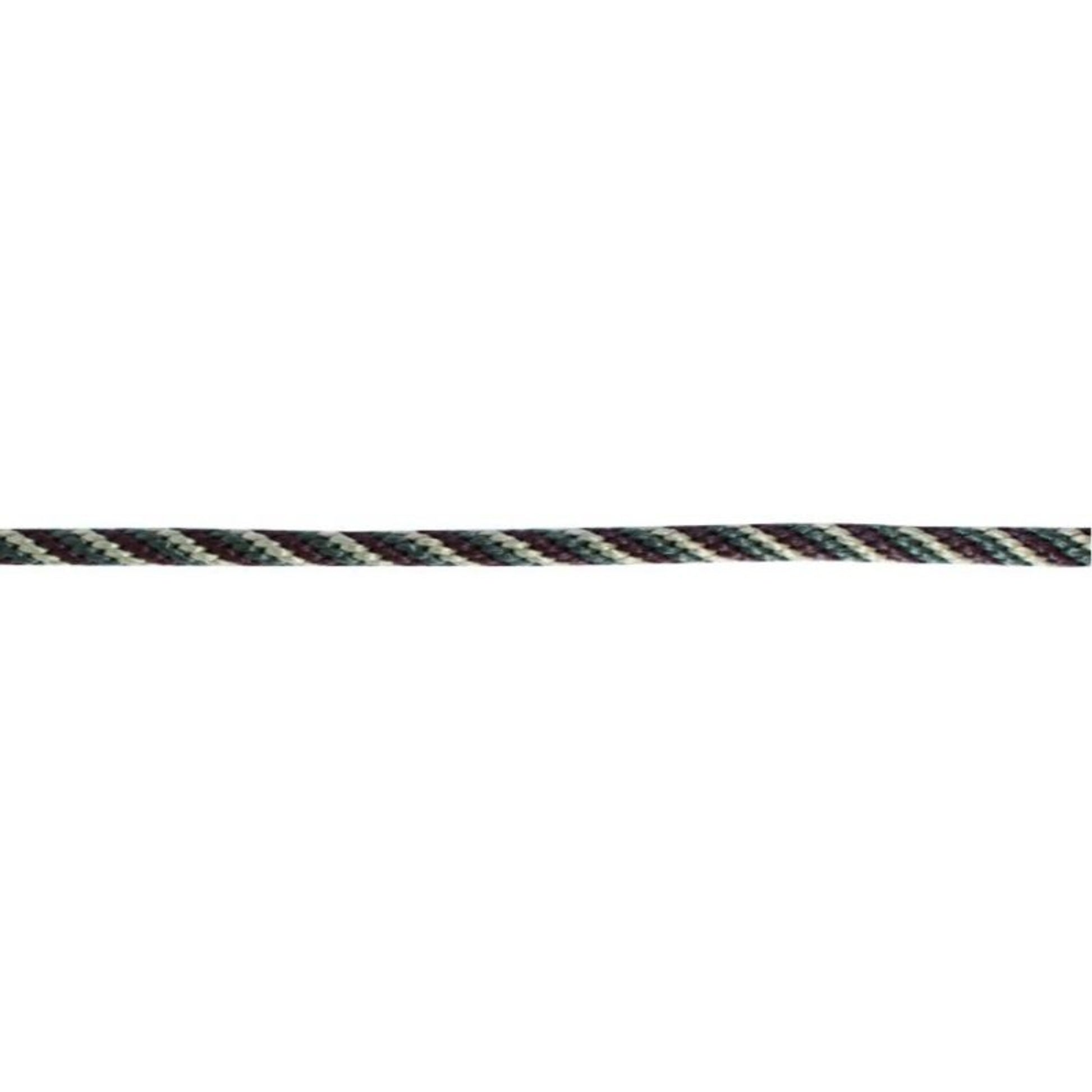 TH1691896.jpg