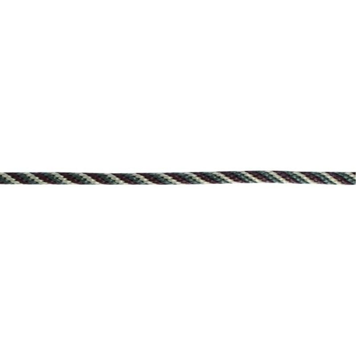 TH1691896_P.jpg