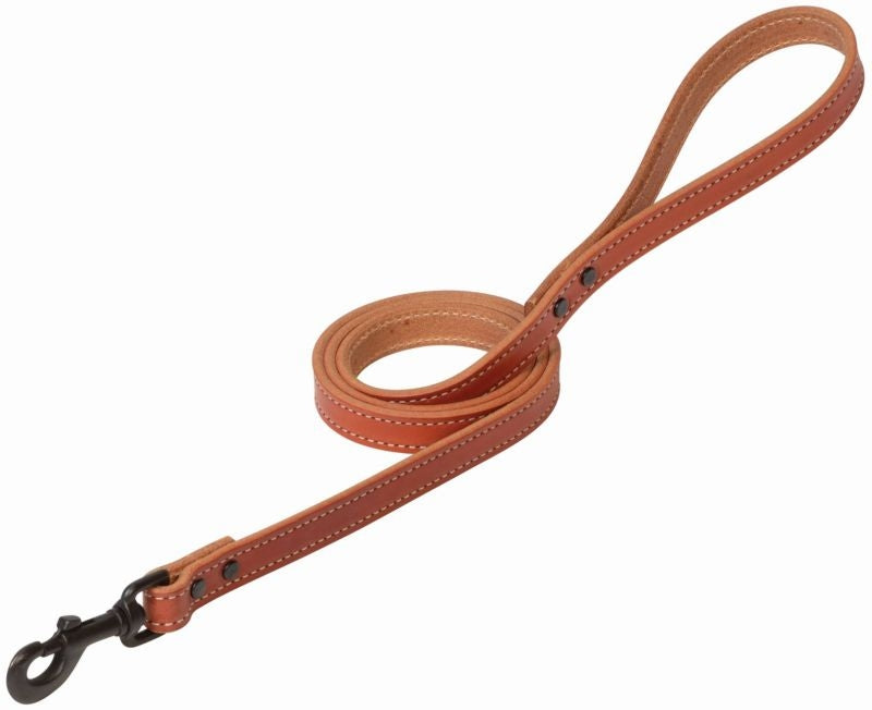 Weaver Minty Leash 3/4 X 4ft Canyon Rose